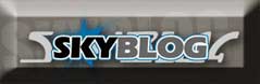 skyblog